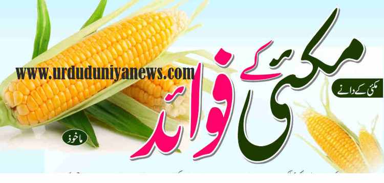 benefits of corn kernels corn