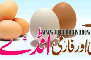farm eggs