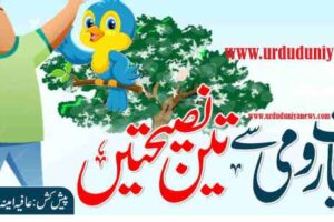 three lessons from rumi narratives