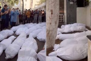 gaza al shifa hospital became the cradle of the largest mass grave of palestinian martyrs