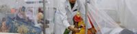 dengue death toll bangladesh