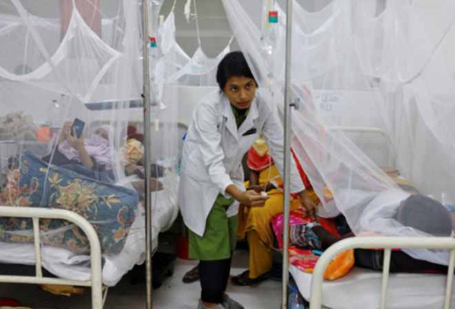 dengue death toll bangladesh