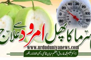remedy with winter fruit guava