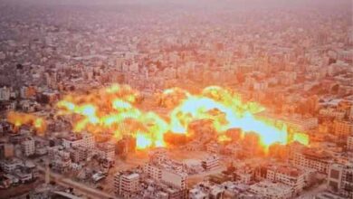 palestinians martyred