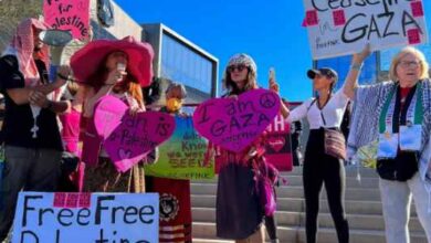pro palestine supporters rally in hollywood