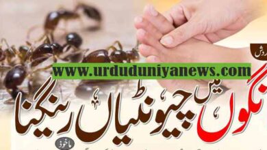 circulation of blood crawling of ants in the legs