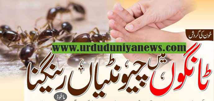 circulation of blood crawling of ants in the legs