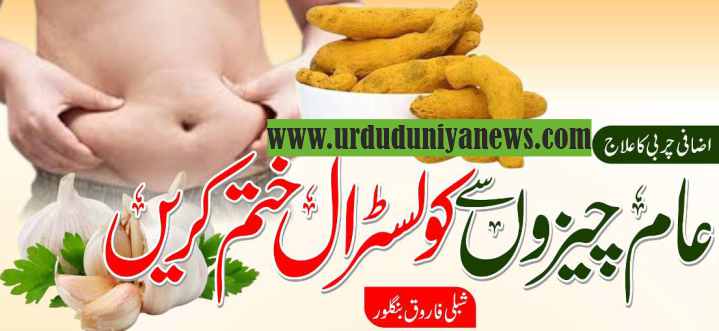 eliminate cholesterol from common foods