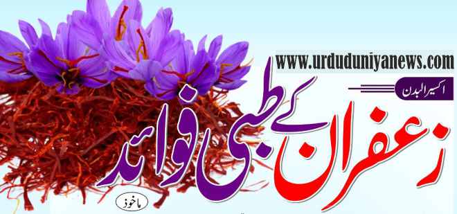 medicinal benefits of saffron