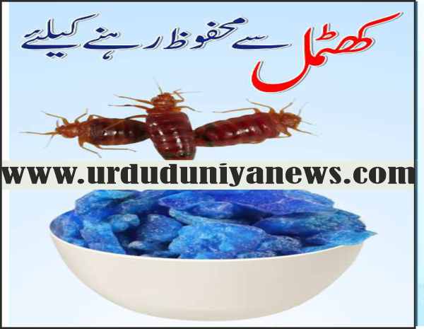 what smell do bugs hate