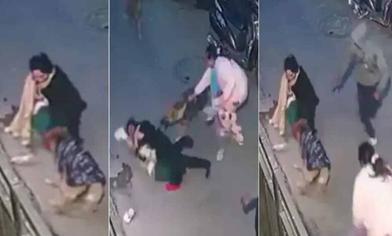a small child was attacked by dogs in delhi vishwas nagar