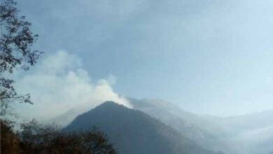 fire breaks out in forests of uttarakhand,