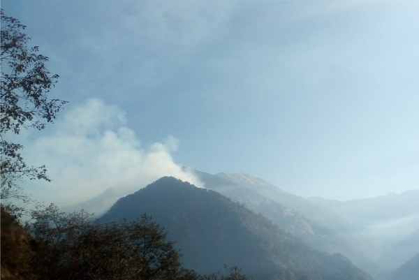 fire breaks out in forests of uttarakhand,