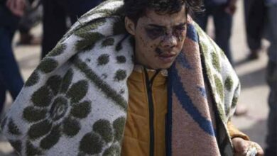 despite the decision of the international court of justice israeli brutality continues on gaza 183 more martyrs