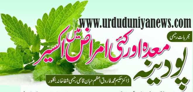 health benefits of mint leaves