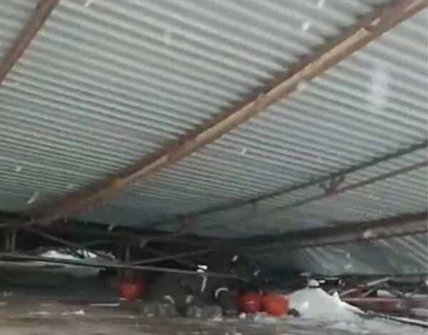 death of several indian laborers in uzbekistan