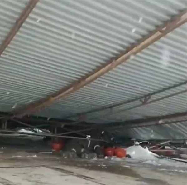 death of several indian laborers in uzbekistan