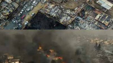 chile the forest fires are out of control the death toll has risen to 99