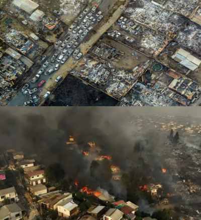 chile the forest fires are out of control the death toll has risen to 99