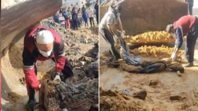 the bodies of more than 30 martyrs were found with their hands and feet tied from a school in gaza