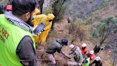 srinagar taxi fell into a ditch on the national highway killing 10