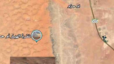 the saudi citizen who died in the desert walked several kilometers to save his life