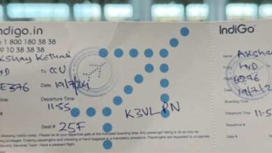 indigo boarding pass