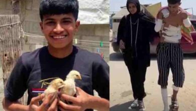 israel-and-hamas-indicate-willingness-to-negotiate-on-gaza-war