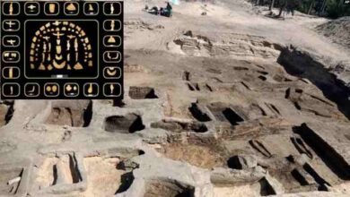 antiquities of kings discovered in 63 tombs in egypt