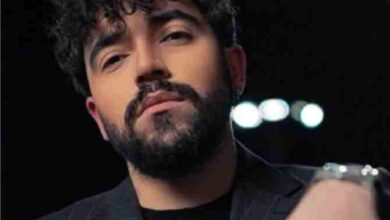 iranian pop star shervin hajipour