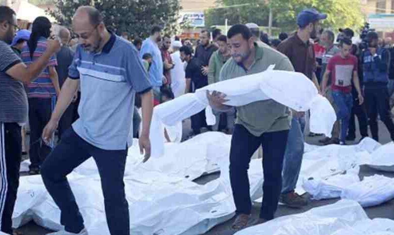 israeli forces killed 45 palestinian fighters