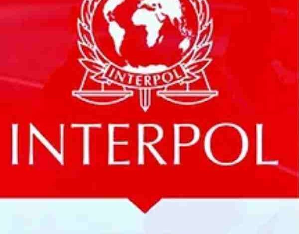 interpol red notices