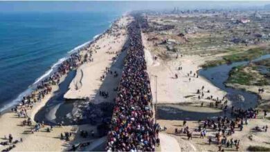 gaza forced migration of palestinians and international laws