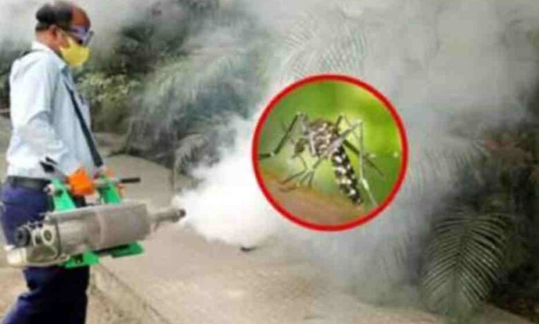 ghmc mosquitoes eradication in hyderabad