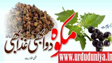 medicine and food makwa