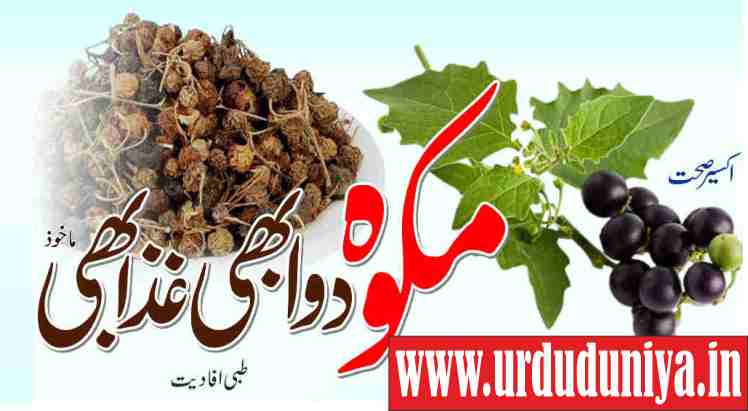 medicine and food makwa