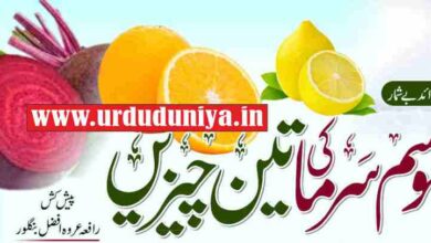 three things about winter