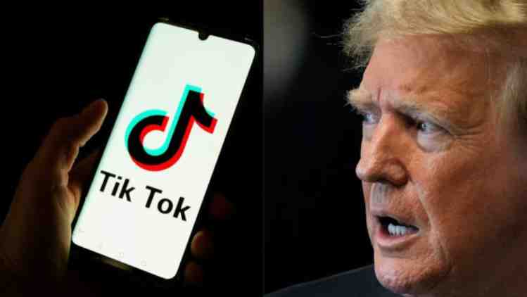 tiktok services usa