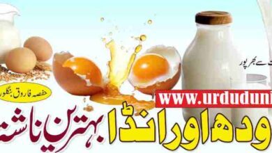 using eggs and milk for breakfast