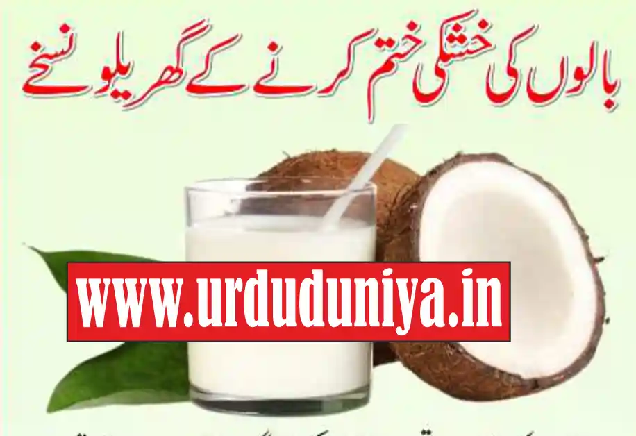 home remedies to get rid of dry hair