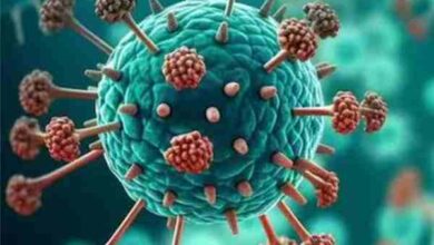 metapneumovirus hmpv