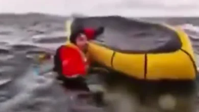 whale swallows boater in chile and spits him out alive seconds later