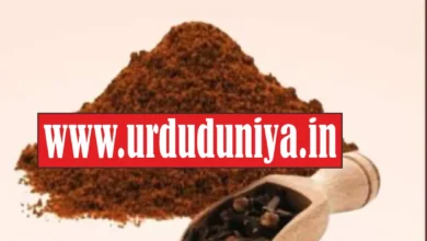 treating infertility with cloves