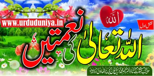 blessings of allah and their importance