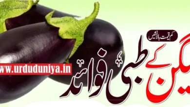 eggplant brinjal health benefits a superfood for heart weight loss diabetes