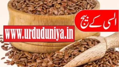 flaxseeds benefits the ultimate superfood for health beauty and fitness