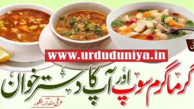 nutritious hot soup recipes for a cozy meal