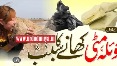 the real reason for eating coal and dust