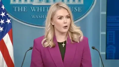 white house press secretary caroline leavitt