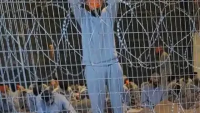 "عوفر اور رملہ جیلوں میں قید فلسطینی قیدیوں پر اسرائیلی قابض فوج کے مظالم، مار پیٹ، طبی غفلت اور نفسیاتی تشدد کا شکار قیدیوں کی حالتِ زار کی عکاسی کرتا ہوا منظر۔"